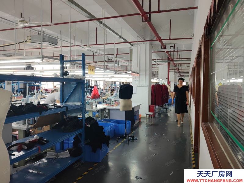 (出租) 廣東中山9蚊,沙溪鎮 服裝廠3000平方(可分租)精裝修現成辦公室