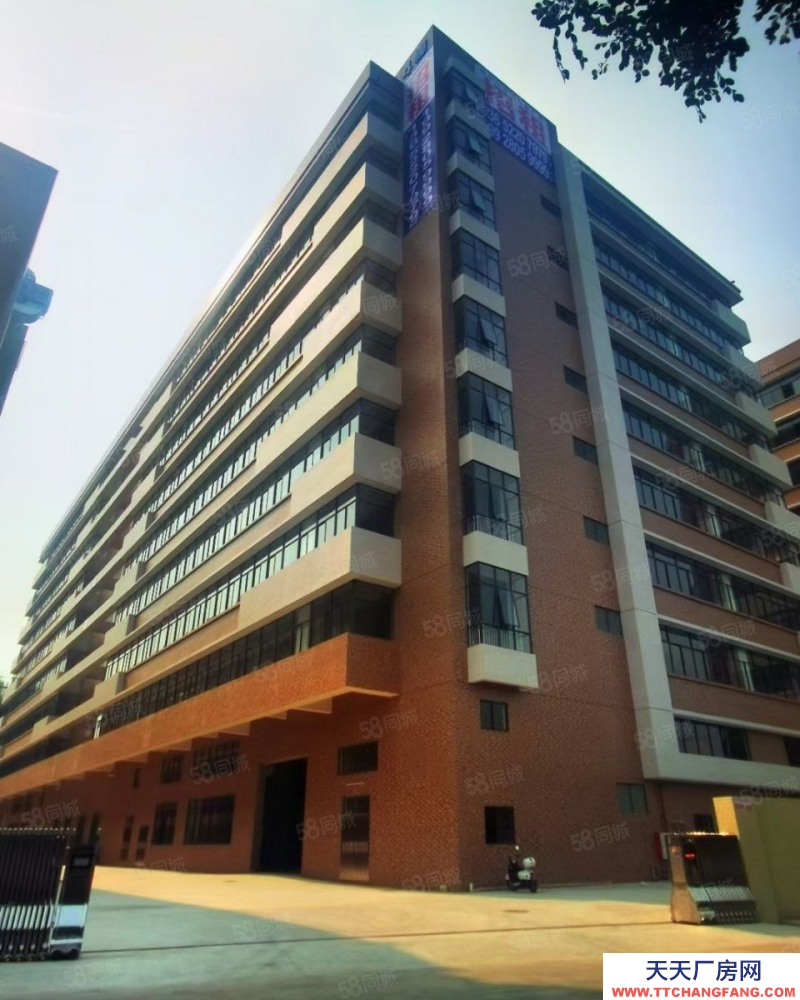 (出租) 廣東中山小欖工業大道南新廠房！特惠出租！面談！