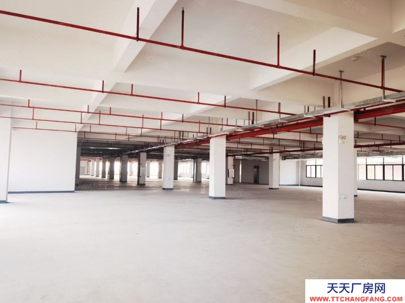 (出租) 廣東中山小欖工業大道南新廠房!特惠出租!面談!