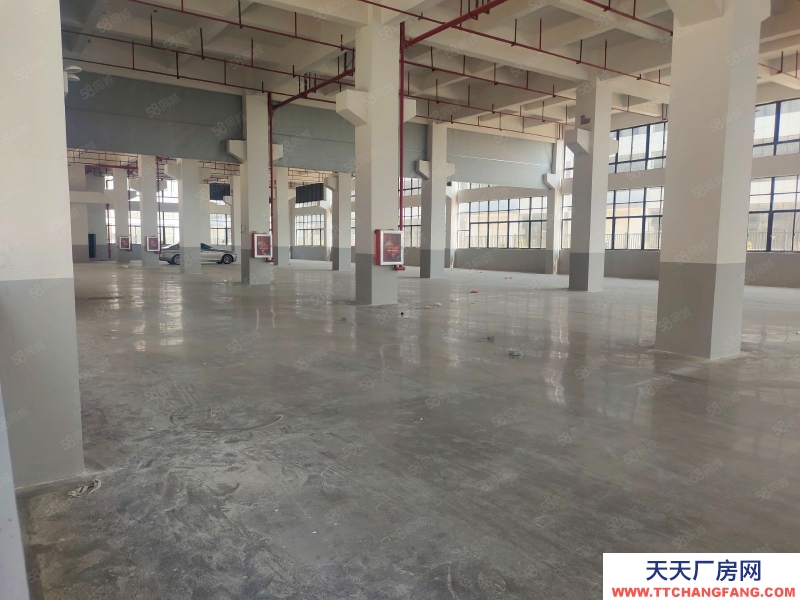 嘉興嘉善(出租) 羅星街道新出單層1000平，1500平，2000平，倉庫出租