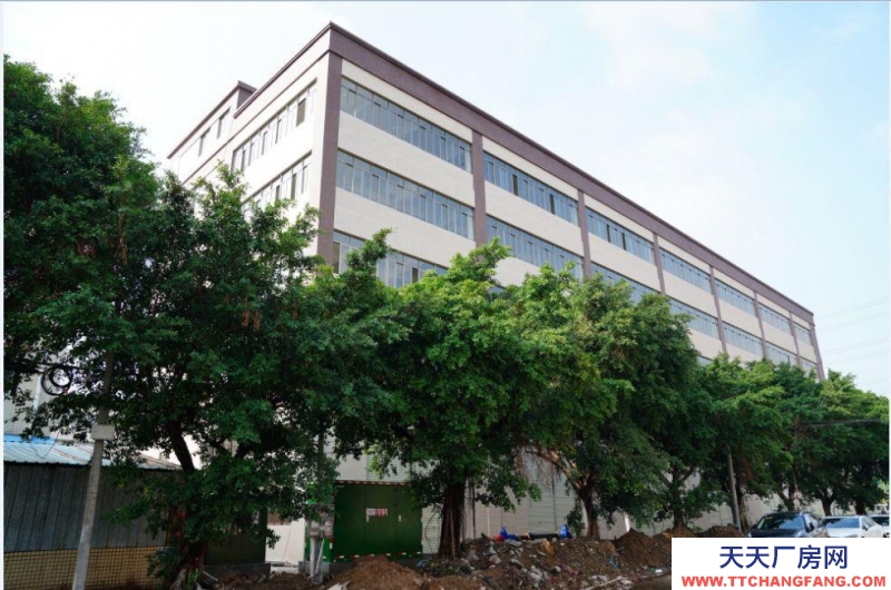 (出租) 廣東中山業主新建廠房2萬方出租可辦環評，可分租四邊大路小欖工業大道旁