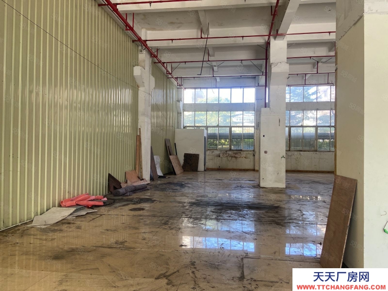 (出租) 廣東中山小面積400方標準一樓園區廠房出租