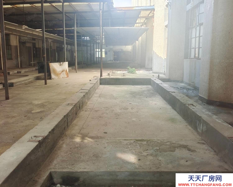 嘉興嘉善(出租) 嘉善周邊上海楓涇園區(qū)新出廠房6000平高7米電大適合各個(gè)行業(yè)