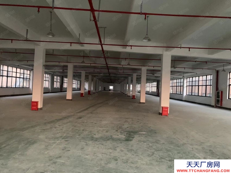 嘉興嘉善(出租) 家具廠房2000平出租，可掛靠