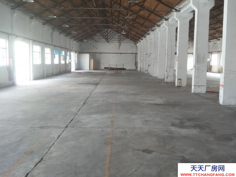 嘉興嘉善(出租) 商城附近800平標(biāo)準(zhǔn)廠房出租，大車可進(jìn)，交通便利，合同長(zhǎng)簽