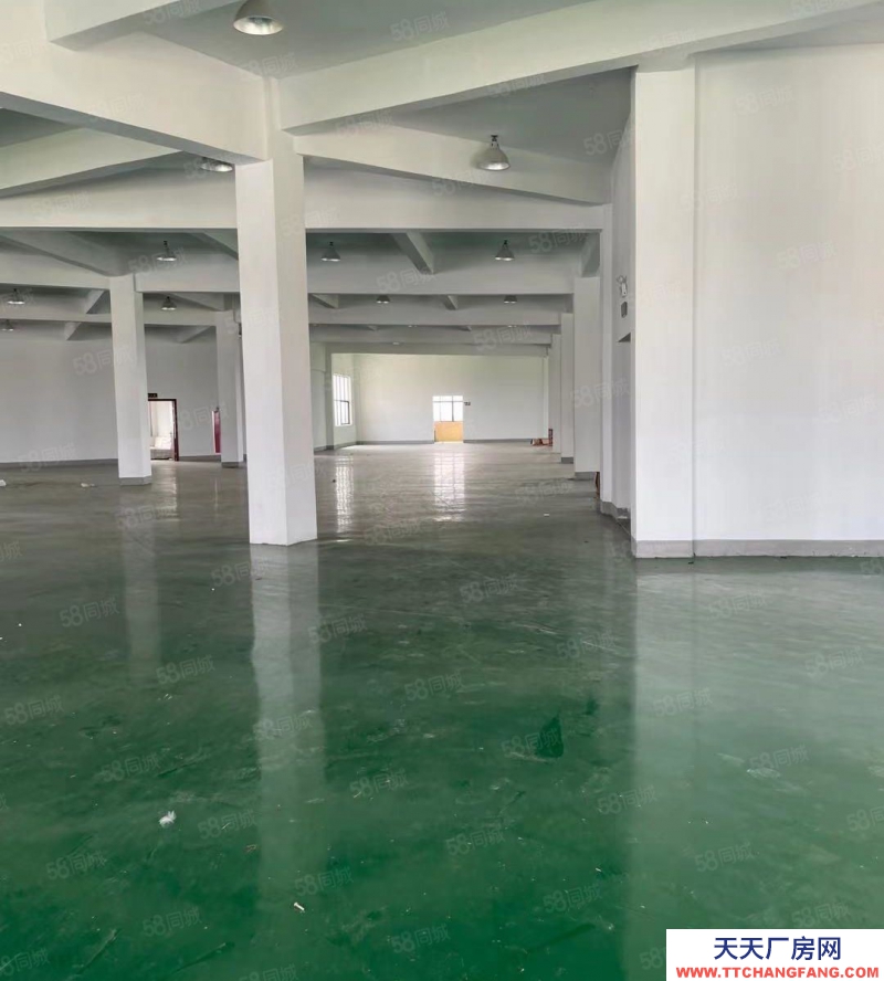 嘉興嘉善(出售) 天凝10畝獨(dú)門獨(dú)戶廠房正在出售中