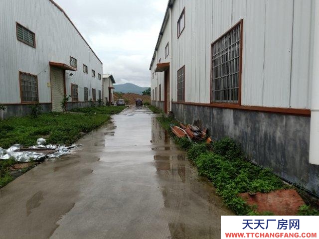 (出租)玉林容縣 可以入大車，水電齊全