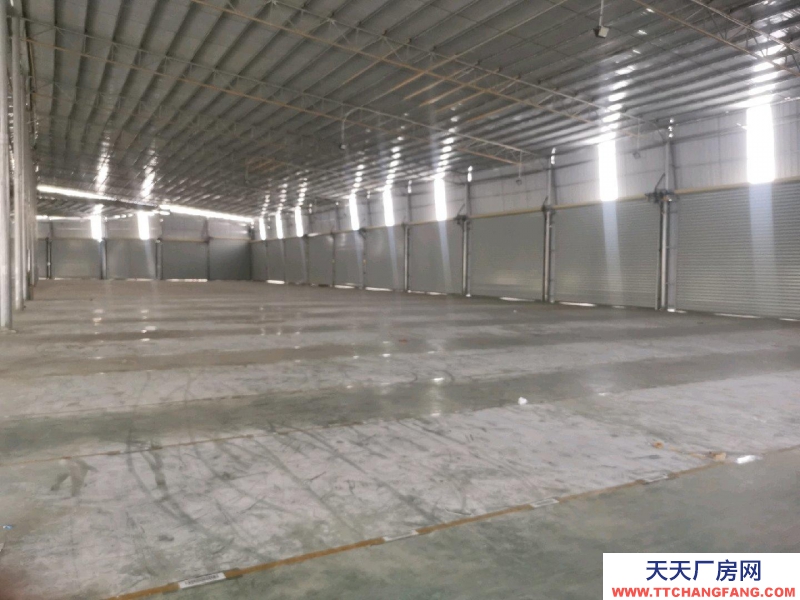 (出租) 玉林陸川全部高臺庫，金剛砂地板，四十米回車空間，配套設施齊全。