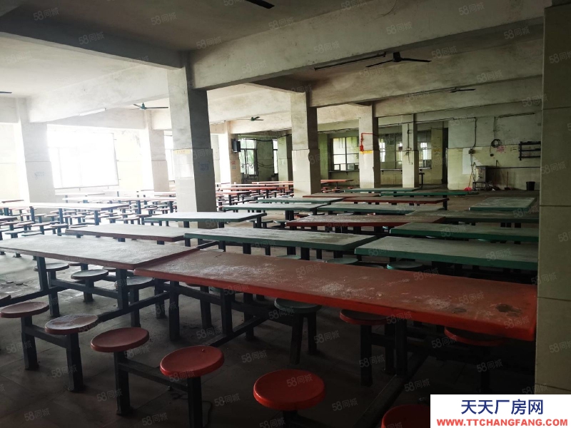 (出租) 廣東韶關曲江馬壩90000平方鋼架結構有行吊廠房倉庫出租