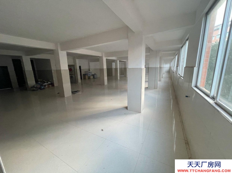 (出租) 廣東韶關(guān)加工、廠房、車間、倉庫南雄市第二中學(xué)（原黎口中學(xué)）旁