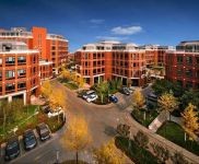 (出售) 出售獨棟研發樓,緊鄰新國展 首都機場 政策補貼 價格面議