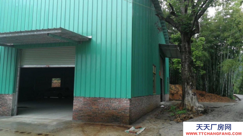 (出租) 廣東韶關新豐縣馬頭鎮廠房倉庫招租