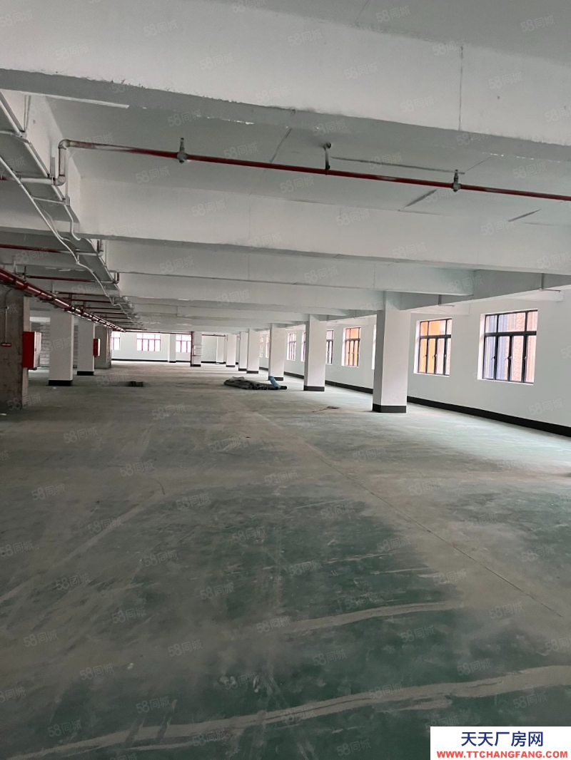 (出租) 廣東佛山業主直租，1500平方，滿足企業辦公，生產，倉儲所需