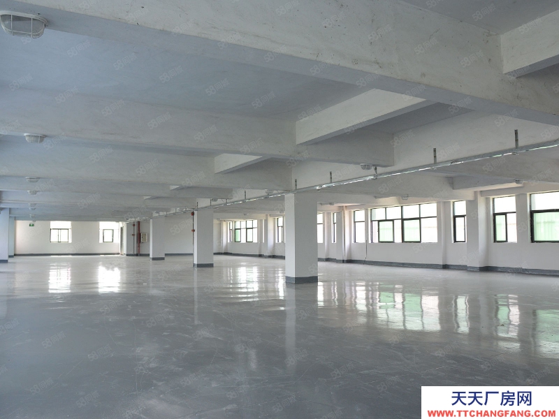 (出租) 廣東佛山南海里水高臺倉儲出租，1萬平分割80平起租，帶貨梯樓層倉