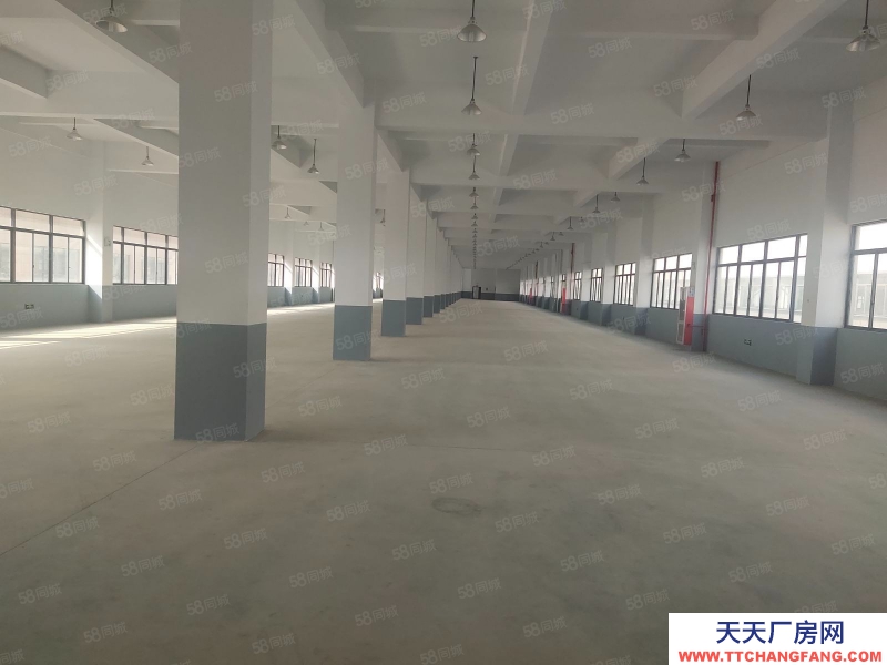 嘉興海鹽(出租) 海鹽西塘橋新出全新獨棟7000平方廠房