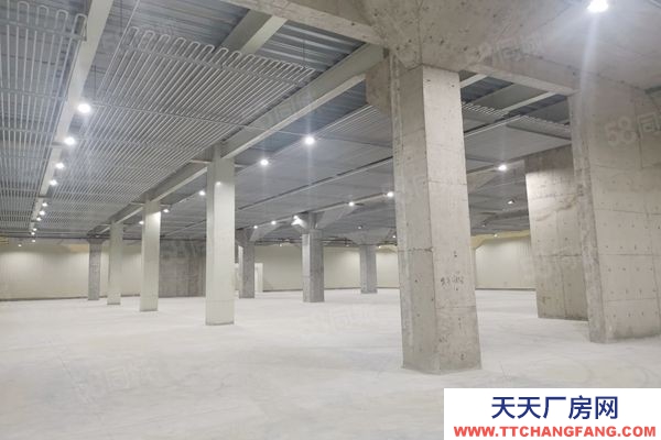 (出租) 廣東佛山獅山羅村 冷庫凍庫 招租面積不限可倉庫全托管服務業(yè)主直租