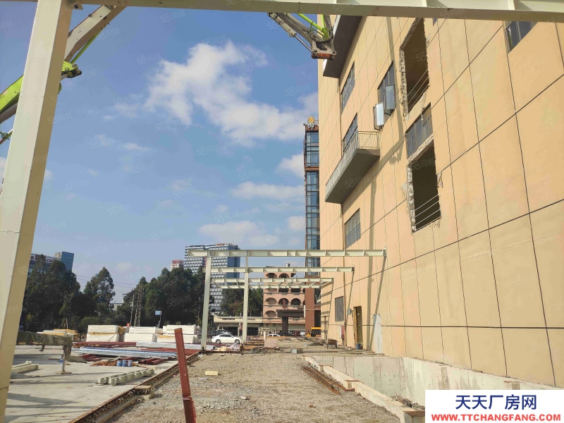 (出租) 廣東佛山獅山羅村 冷庫凍庫 招租面積不限可倉庫全托管服務(wù)業(yè)主直租