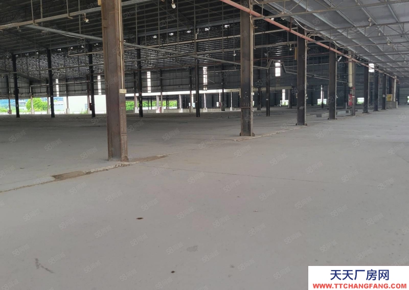 (出租) 廣東佛山順德8000方高臺倉出租，多面平臺,.丙二類噴淋消防,帶分拔