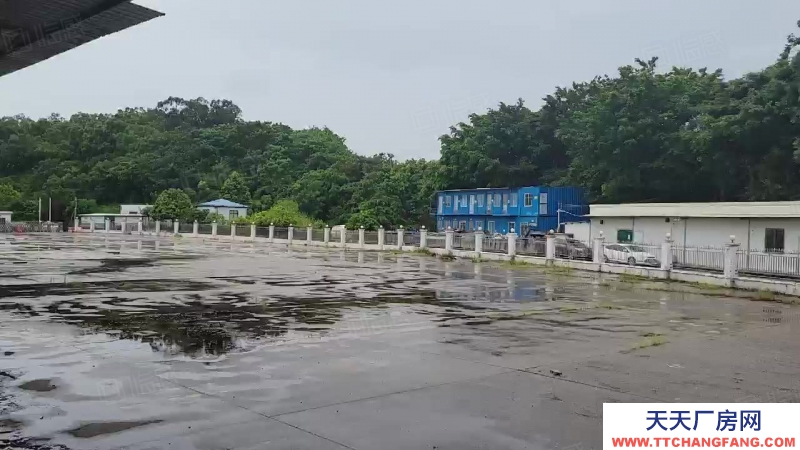 (出租) 廣東佛山順德8000方高臺倉出租，多面平臺,.丙二類噴淋消防,帶分拔