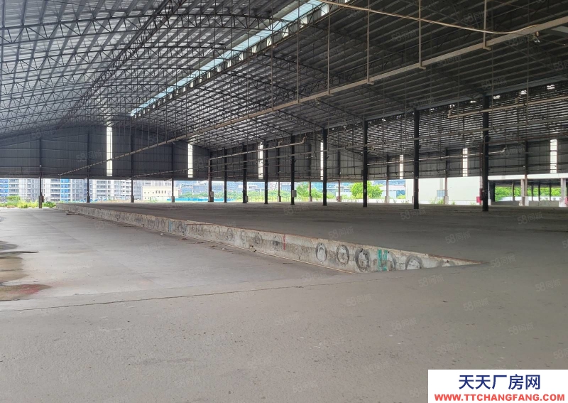 (出租) 廣東佛山順德8000方高臺倉出租，多面平臺,.丙二類噴淋消防,帶分拔
