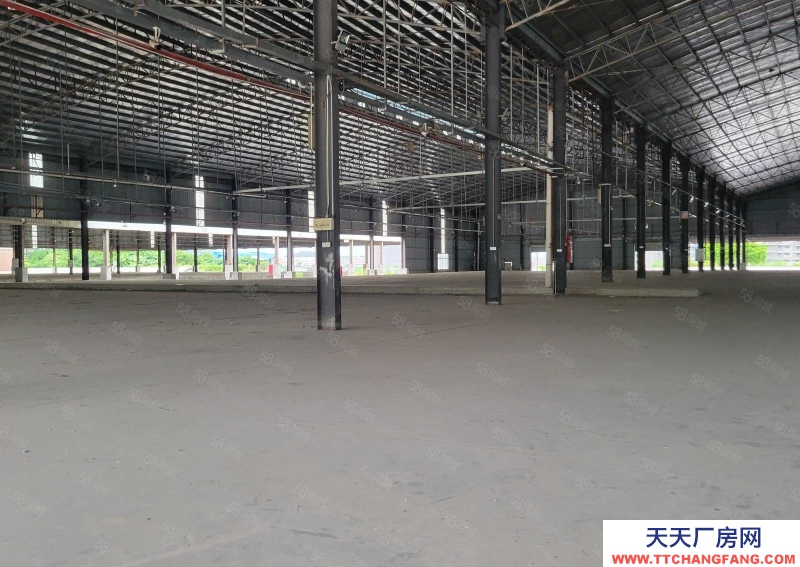 (出租) 廣東佛山順德8000方高臺倉出租，多面平臺,.丙二類噴淋消防,帶分拔