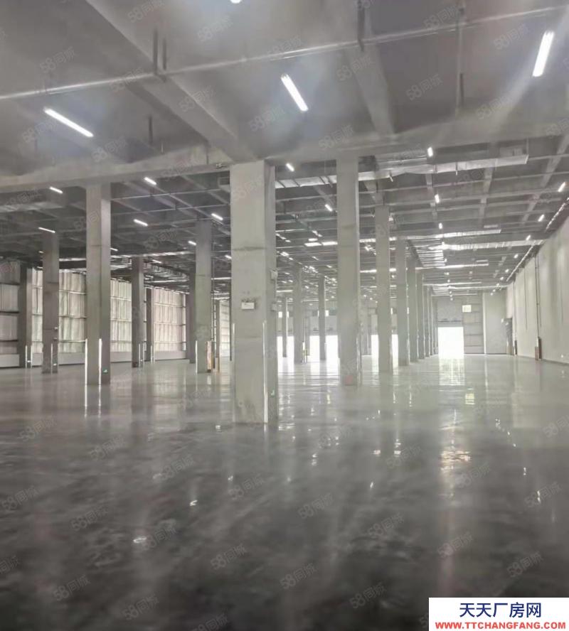 嘉興海鹽(出租) 嘉興海鹽6萬平方倉庫出租，急租，價格優惠