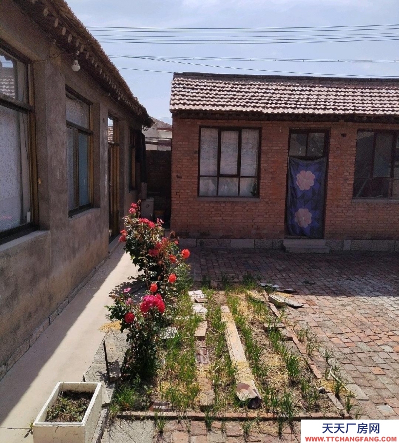 (出租) 出租院子,體驗新農(nóng)人生活