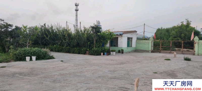 (出租) 整租,果園,超大場(chǎng)地,價(jià)格適合水電齊全