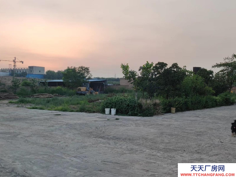 (出租) 整租,果園,超大場(chǎng)地,價(jià)格適合水電齊全