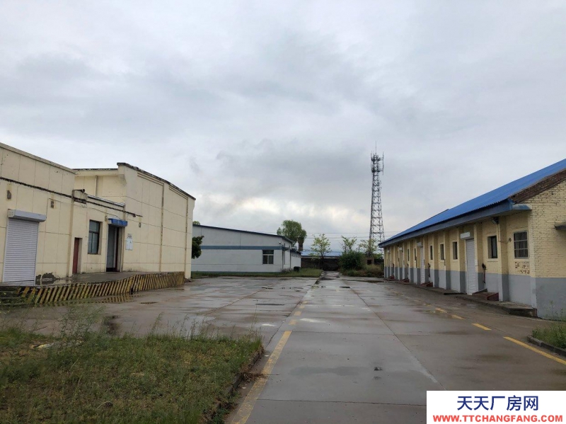 (出租) 我廠有冷藏庫、冷凍庫，各種倉庫，交通便利，環(huán)境優(yōu)美！