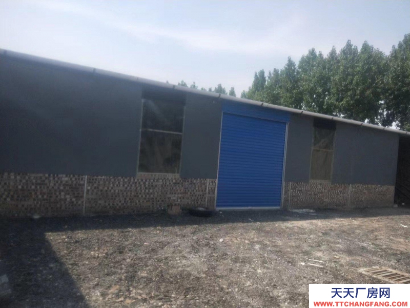 (出租) 交通便利，可做倉庫，廠房。水，三相電齊全，帶場地出租。