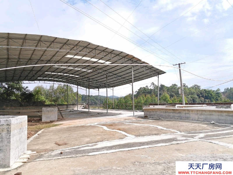 (出租) 玉林興業倉庫，廠房，農家樂，中藥加工廠。