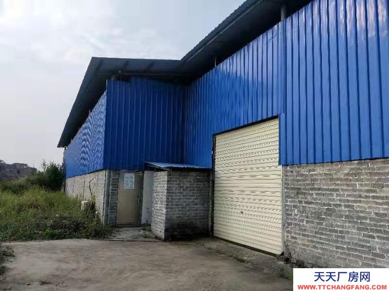 (出租) 梧州長洲倉庫廠房出租位于長洲長地村