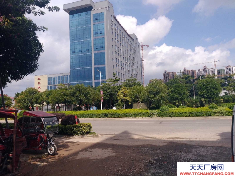 (出租) 梧州長洲區三龍大道文化大廈對面倉庫