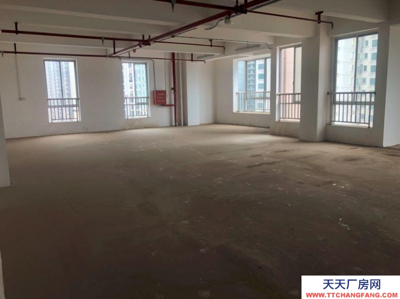 (出租) 梧州長洲站附近擁軍大廈辦公場地及酒店