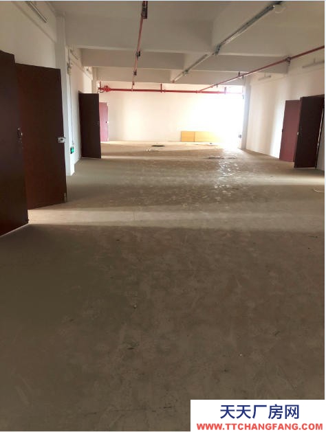 (出租) 梧州長洲站附近擁軍大廈辦公場地及酒店