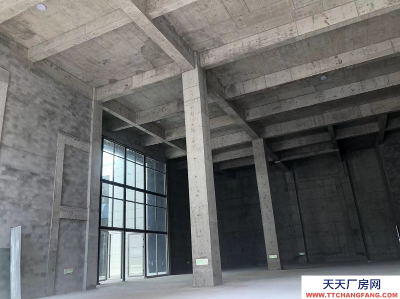 蔡家現房標準廠房/輕軌近公交旁物流園旁/所見即所得/買來即可用