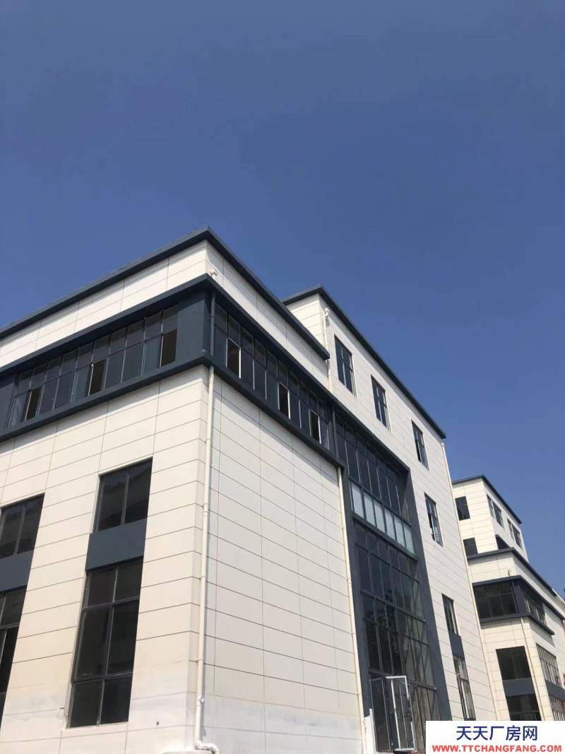 蔡家現房標準廠房/輕軌近公交旁物流園旁/所見即所得/買來即可用