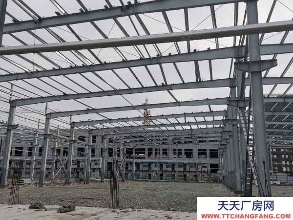 岳陽市岳陽樓區 獨棟單層生產基地 層高10米 1200平 首付3成起 高速口