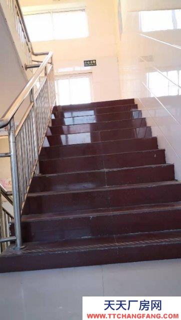 邯鄲 邱縣  出租/出售大面積廠房，宿舍樓