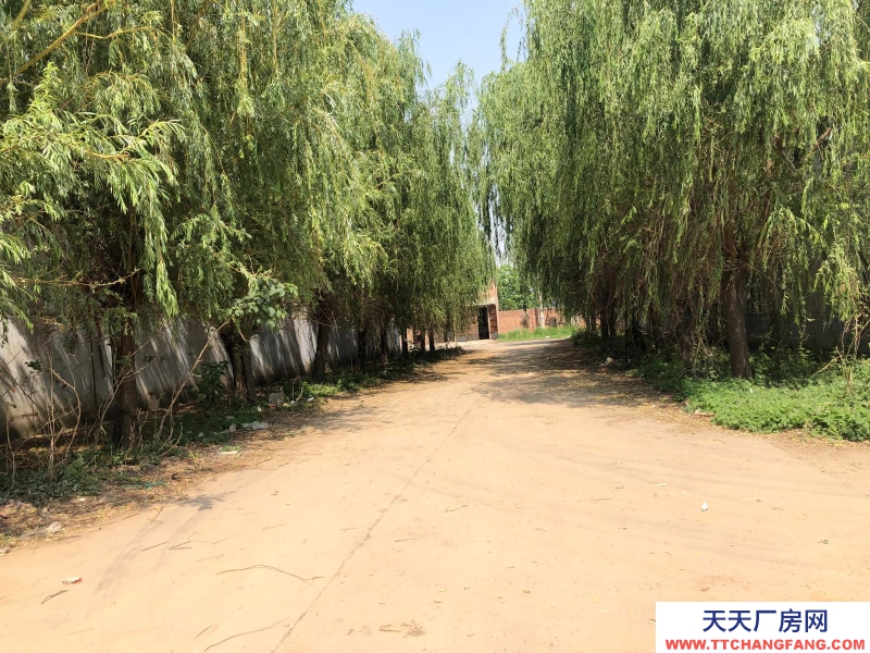 邯鄲 廣平縣 超低價出租邯鄲廣平15000平米廠房，交通便捷，生產加工方便