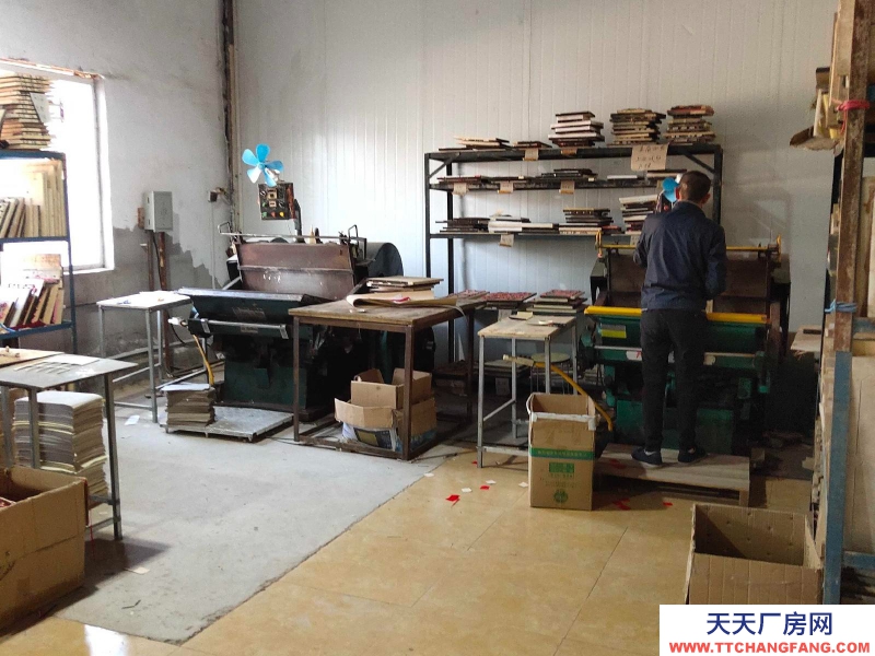 邯鄲 廣平縣 (出租) 全新獨院獨棟廠房3000平方