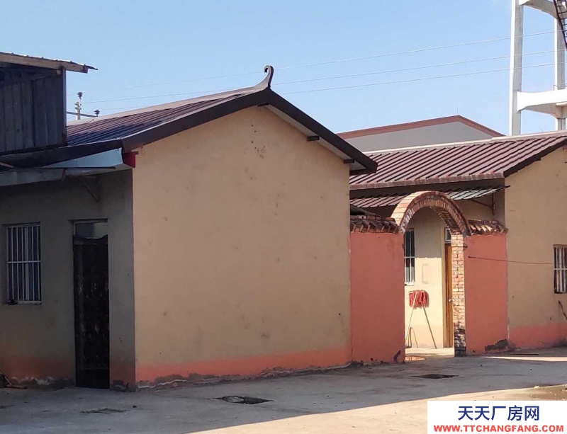 邯鄲 廣平縣 (出租) 全新獨院獨棟廠房3000平方