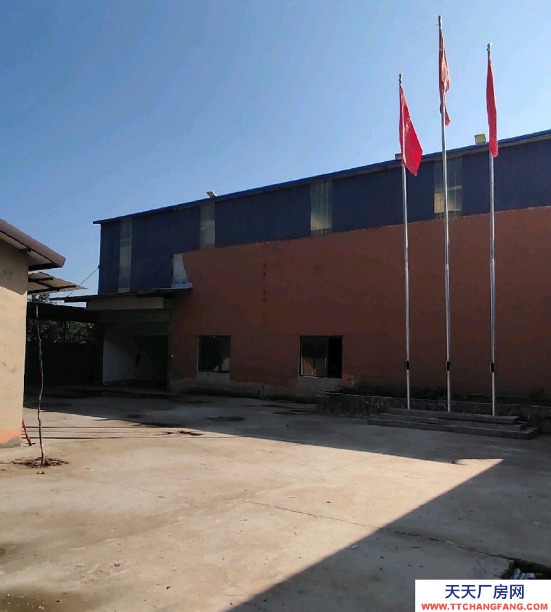 邯鄲 廣平縣 (出租) 全新獨院獨棟廠房3000平方