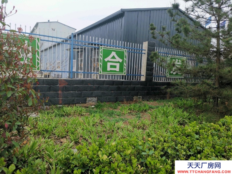 邯鄲 曲周縣  240平的倉庫，歡迎咨詢。