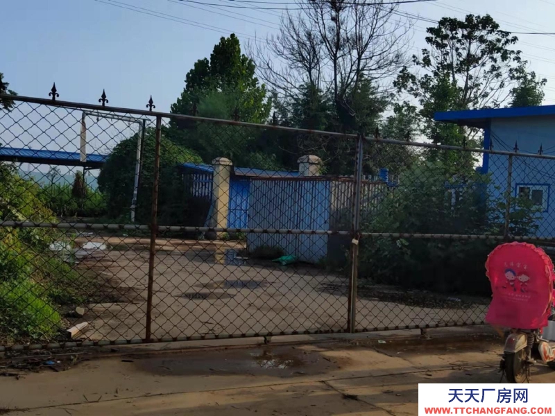 邯鄲 曲周縣 緊鄰定魏線，交通便利，水電方便！