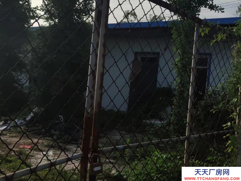 邯鄲 曲周縣 緊鄰定魏線，交通便利，水電方便！