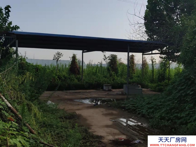 邯鄲 曲周縣 緊鄰定魏線，交通便利，水電方便！