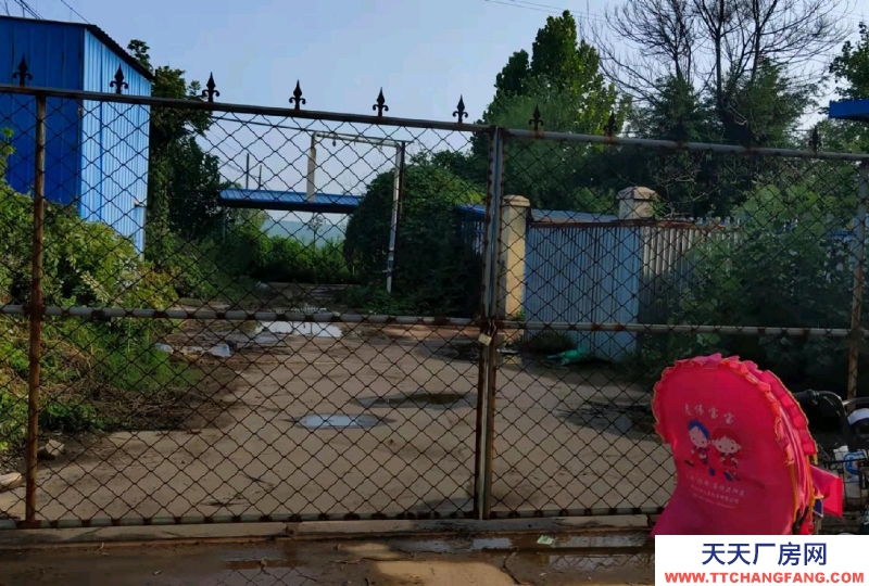 邯鄲 曲周縣 緊鄰定魏線，交通便利，水電方便！