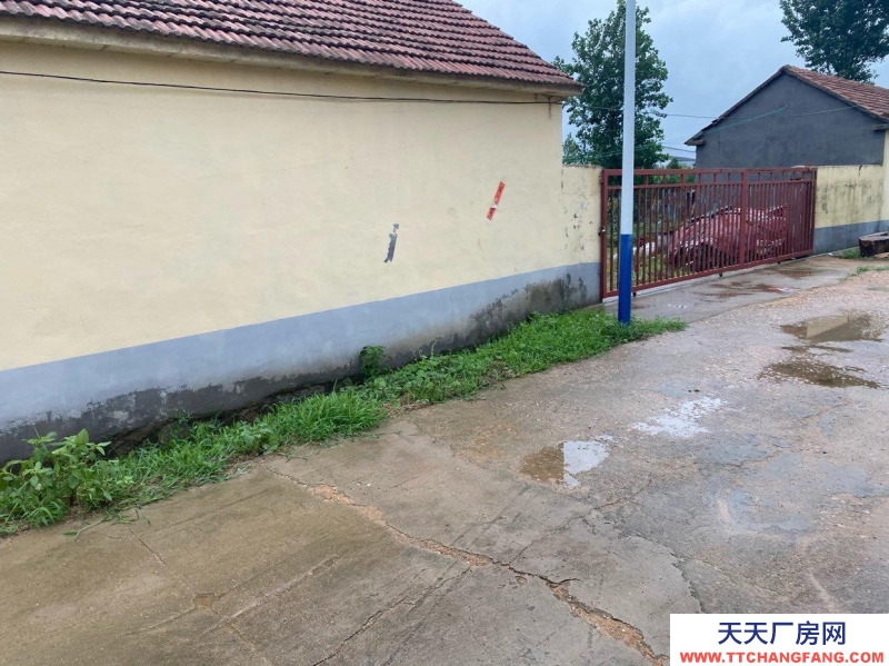 日照東港出售，出租，個人農(nóng)家院一套，內(nèi)有四畝院，可種植，加工。